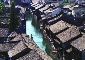 爱丽丝和闺蜜